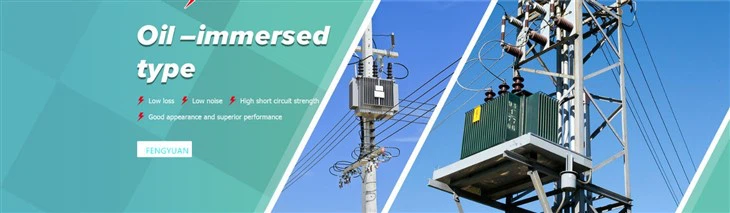 Fast Delivery HV Electrical H61 Power Distribution Transformer